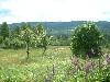 2003_0703_134655AA.jpg